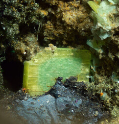 Deutschland/Bayern/Oberpfalz, Bezirk/Neustadt an der Waldnaab, Landkreis/Waidhaus/Hagendorf/Hagendorf-Süd (Grube Cornelia)