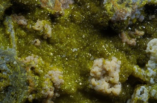 Frankreich/Provence-Alpes-Côte d'Azur, Région/Var, Département/Toulon, Arrondissement/Le Pradet/Mine de Cap Garonne