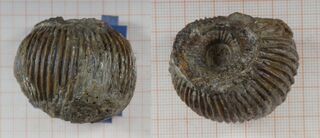 Deutschland/Baden-Württemberg/Stuttgart, Bezirk/Ostalbkreis/Bopfingen