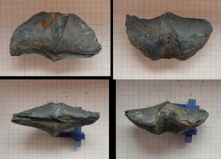 Belgien/Wallonie/Luxemburg (Luxembourg), Provinz/Marche-en-Famenne, Bezirk/Durbuy/Barvaux