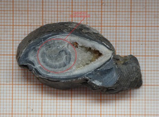 Belgien/Wallonie/Luxemburg (Luxembourg), Provinz/Marche-en-Famenne, Bezirk/Durbuy/Barvaux