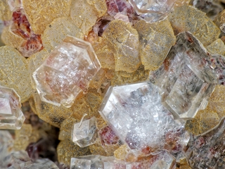 Deutschland/Rheinland-Pfalz/Donnersbergkreis/Kirchheimbolanden, Verbandsgemeinde/Bolanden, Gemeinde/Giro am Mannbühl