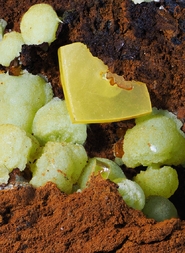 Mexiko/Durango, Estado/Mapimí, Municipio/Mapimí/Ojuela Mine/San Juan Poniente