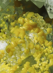 Deutschland/Baden-Württemberg/Freiburg, Bezirk/Waldshut, Landkreis/Dachsberg, Gemeinde/Urberg, Ortsteil/Grube Gottesehre