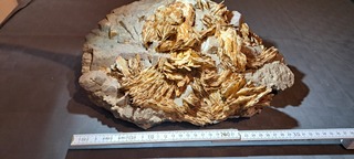 Deutschland/Baden-Württemberg/Karlsruhe, Bezirk/Pforzheim/Würm/Grube Käfersteige