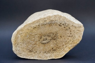 Deutschland/Sachsen/Nordsachsen, Landkreis/Löbnitz/Kiesgrube