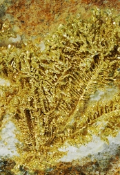 USA/Nevada/Humboldt County/Awakening Mining District/Slumbering Hills