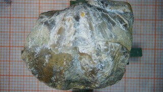 Deutschland/Rheinland-Pfalz/Eifelkreis Bitburg-Prüm/Gondelsheim