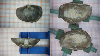 Deutschland/Rheinland-Pfalz/Eifelkreis Bitburg-Prüm/Gondelsheim