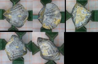 Deutschland/Rheinland-Pfalz/Vulkaneifel, Landkreis/Üxheim/Steinbrüche Ahütte