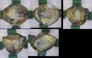 Deutschland/Rheinland-Pfalz/Eifelkreis Bitburg-Prüm/Gondelsheim