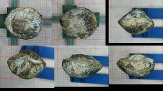 Deutschland/Rheinland-Pfalz/Eifelkreis Bitburg-Prüm/Gondelsheim