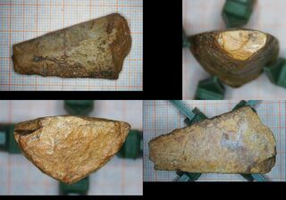 Bolivien/La Paz, Departamento