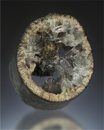 Deutschland/Nordrhein-Westfalen/Münster, Bezirk/Coesfeld, Kreis/Dülmen/Engster Heide/Tongrube