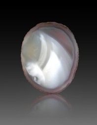 Mosambik/Tete, Provinz