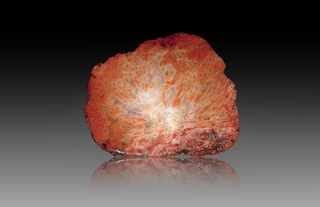 Südafrika/Limpopo, Provinz/Vhembe, Distrikt/Tschipisie