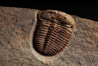 Deutschland/Nordrhein-Westfalen/Düsseldorf, Bezirk/Wuppertal, Stadtgemeinde/Elberfeld-West, Stadtbezirk/Varresbeck