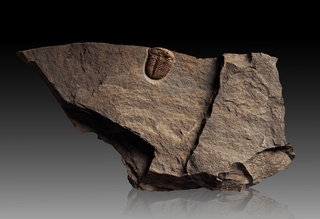 Deutschland/Nordrhein-Westfalen/Düsseldorf, Bezirk/Wuppertal, Stadtgemeinde/Elberfeld-West, Stadtbezirk/Varresbeck