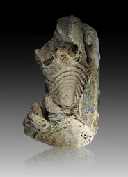 Frankreich/Bretagne, Région/Finistère, Département/Châteaulin, Arrondissement/Le Faou/Falaises des Salles