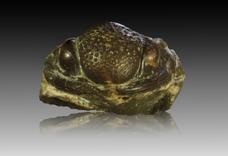 Deutschland/Rheinland-Pfalz/Vulkaneifel, Landkreis/Gerolstein, Verbandsgemeinde/Pelm/Trilobiten-Felder bei Gees (Pelm-Salmer Weg)