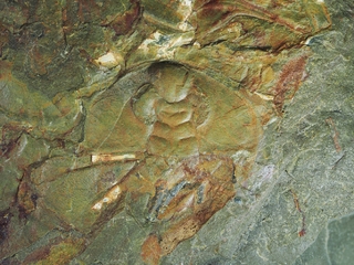 USA/Kalifornien (California)/San Bernardino County/Marble Mountains