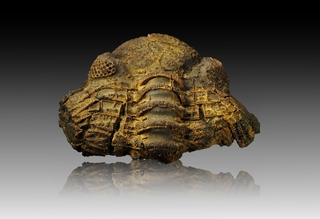 Frankreich/Grand Est, Région/Ardennes, Département/Charleville-Mézières, Arrondissement/Vireux-Molhain/Mur des douaniers