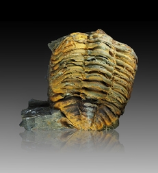 Frankreich/Bretagne, Région/Finistère, Département/Châteaulin, Arrondissement/Le Faou/Falaises des Salles