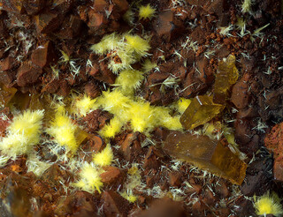 Deutschland/Baden-Württemberg/Freiburg, Bezirk/Waldshut, Landkreis/St. Blasien, Stadtgemeinde/Menzenschwand, Ortsteil/Krunkelbach