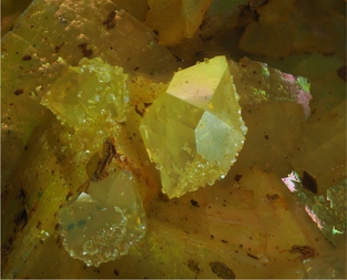 Deutschland/Rheinland-Pfalz/Bad Kreuznach, Landkreis/Langenthal/Basaltsteinbruch Langenthal