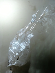 Deutschland/Rheinland-Pfalz/Mayen-Koblenz-Kreis/Vordereifel, Verbandsgemeinde/Ettringen/Bellerberg/Ettringer Bellerberg (Stbr. Caspar)