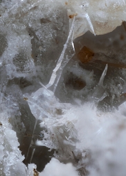 Deutschland/Rheinland-Pfalz/Mayen-Koblenz-Kreis/Vordereifel, Verbandsgemeinde/Ettringen/Bellerberg/Ettringer Bellerberg (Stbr. Caspar)