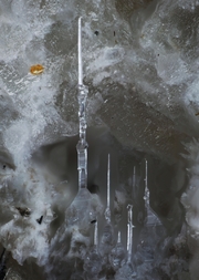 Deutschland/Rheinland-Pfalz/Mayen-Koblenz-Kreis/Vordereifel, Verbandsgemeinde/Ettringen/Bellerberg/Ettringer Bellerberg (Stbr. Caspar)