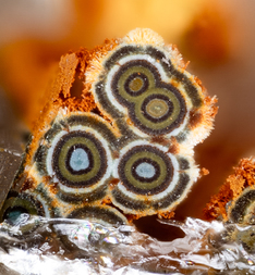 Frankreich/Auvergne-Rhône-Alpes, Région/Allier, Département/Montluçon, Arrondissement/Echassières/Les Montmins (Sainte Barbe filon)