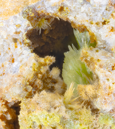 Frankreich/Auvergne-Rhône-Alpes, Région/Allier, Département/Montluçon, Arrondissement/Echassières/Les Montmins (Sainte Barbe filon)