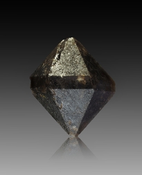 Tunesien/Kairouan, Gouvernement/Hadjeb el Aioun