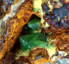 Deutschland/Baden-Württemberg/Freiburg, Bezirk/Waldshut, Landkreis/St. Blasien, Stadtgemeinde/Menzenschwand, Ortsteil/Krunkelbach