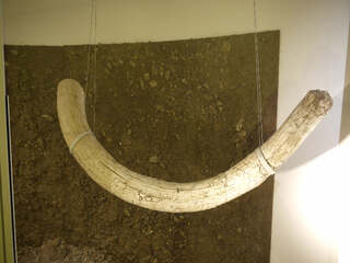 Deutschland/Baden-Württemberg/Stuttgart, Bezirk/Schwäbisch Hall, Landkreis/Schwäbisch Hall