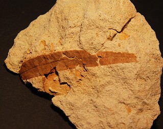 Deutschland/Sachsen/Dresden/Tunnel Dölzschen (A17)