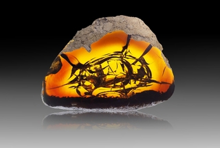 Äthiopien/Amhara, Region/Semien Wollo Zone/Delanta/Wegeltena/Tsehay Mewcha