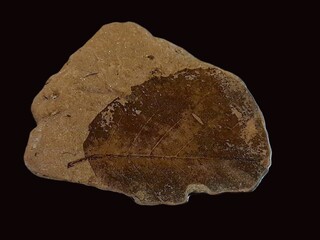 Deutschland/Bayern/Oberfranken, Bezirk/Wunsiedel im Fichtelgebirge, Landkreis/Arzberg, Stadt/Seußen, Ortsteil/Zeche Treue Freundschaft