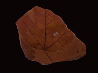 Deutschland/Bayern/Oberfranken, Bezirk/Wunsiedel im Fichtelgebirge, Landkreis/Arzberg, Stadt/Seußen, Ortsteil/Zeche Treue Freundschaft