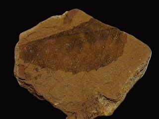 Deutschland/Bayern/Oberfranken, Bezirk/Wunsiedel im Fichtelgebirge, Landkreis/Arzberg, Stadt/Seußen, Ortsteil/Zeche Treue Freundschaft