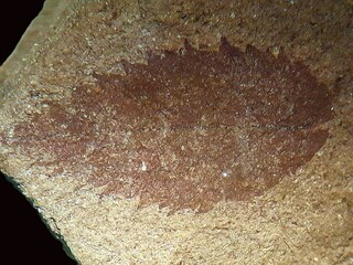 Deutschland/Bayern/Oberfranken, Bezirk/Wunsiedel im Fichtelgebirge, Landkreis/Arzberg, Stadt/Seußen, Ortsteil/Zeche Treue Freundschaft