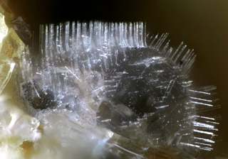 Deutschland/Rheinland-Pfalz/Mayen-Koblenz-Kreis/Vordereifel, Verbandsgemeinde/Ettringen/Bellerberg/Ettringer Bellerberg (Stbr. Caspar)