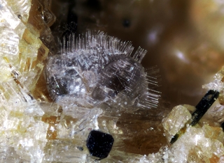 Deutschland/Rheinland-Pfalz/Mayen-Koblenz-Kreis/Vordereifel, Verbandsgemeinde/Ettringen/Bellerberg/Ettringer Bellerberg (Stbr. Caspar)