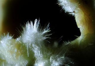 Deutschland/Rheinland-Pfalz/Mayen-Koblenz-Kreis/Vordereifel, Verbandsgemeinde/Ettringen/Bellerberg/Ettringer Bellerberg (Stbr. Caspar)