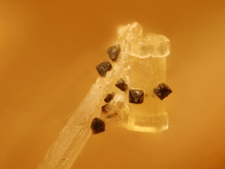 Deutschland/Bayern/Oberpfalz, Bezirk/Neustadt an der Waldnaab, Landkreis/Waidhaus/Hagendorf/Hagendorf-Süd (Grube Cornelia)