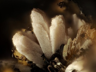 Deutschland/Bayern/Oberpfalz, Bezirk/Neustadt an der Waldnaab, Landkreis/Waidhaus/Hagendorf/Hagendorf-Süd (Grube Cornelia)