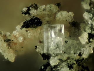 Deutschland/Bayern/Oberpfalz, Bezirk/Neustadt an der Waldnaab, Landkreis/Waidhaus/Hagendorf/Hagendorf-Süd (Grube Cornelia)