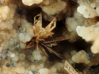 Deutschland/Bayern/Oberpfalz, Bezirk/Neustadt an der Waldnaab, Landkreis/Waidhaus/Hagendorf/Hagendorf-Süd (Grube Cornelia)